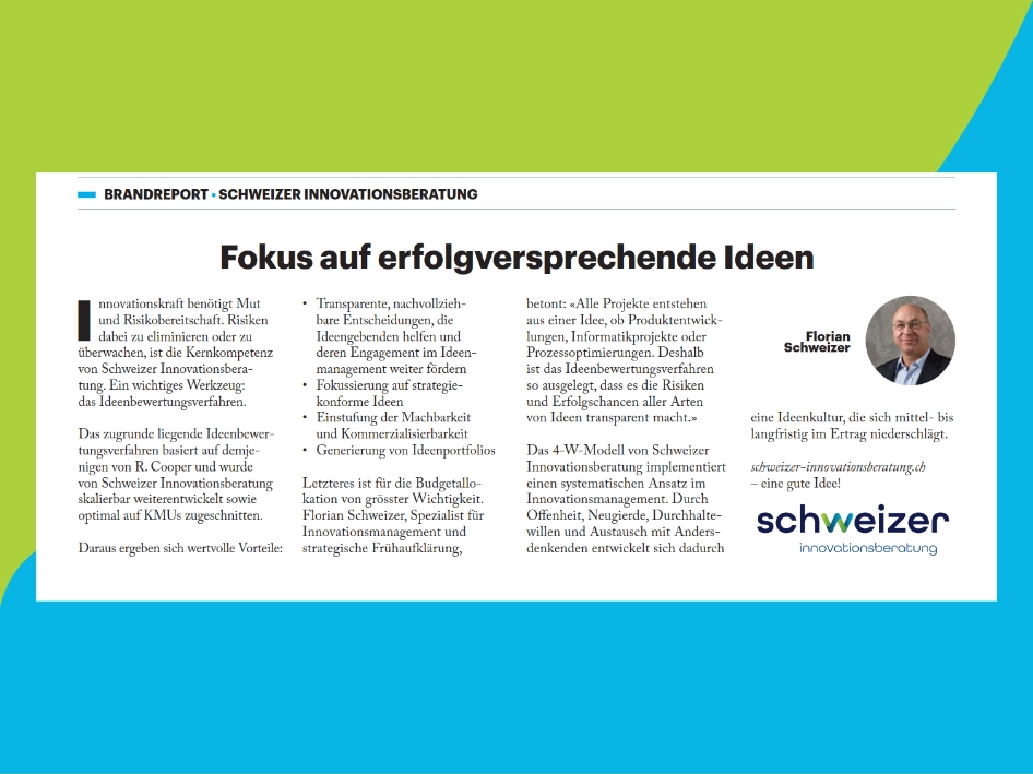 PDF-Dokument über die Ideenbewertung.